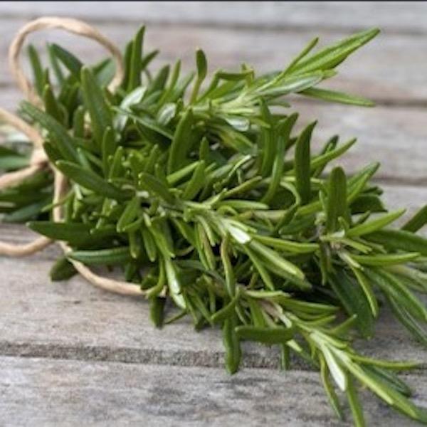 Tea Tree Remedy
